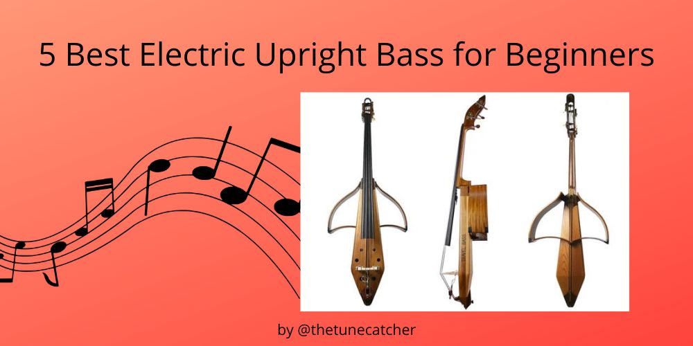 5 Best Electric Upright Bass for Beginners The Tune Catcher